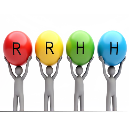 Gestión de los recursos humanos